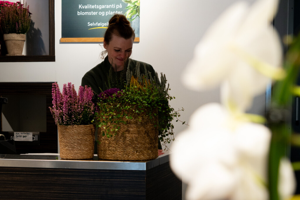 Høstgruppe fra Mester Grønn